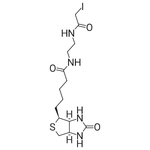 N-(2-(2-Iodoacetamido)ethyl)-5-((3aS,4S,6aR)-2-oxohexahydro-1H-thieno[3,4-d]imidazol-4-yl)pentanamid