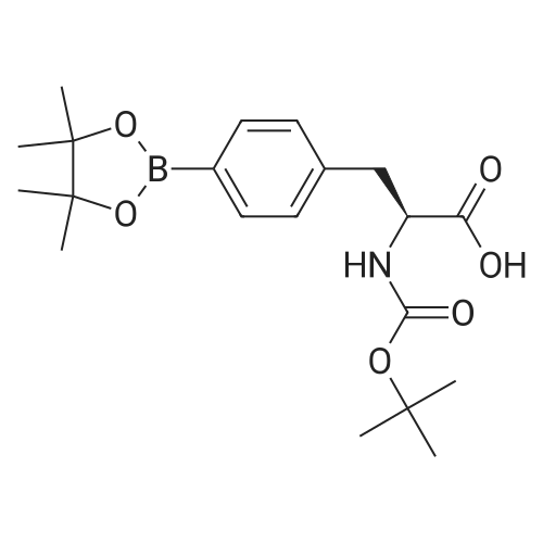 (S)-2-((tert-Butoxycarbonyl)amino)-3-(4-(4,4,5,5-tetramethyl-1,3,2-dioxaborolan-2-yl)phenyl)propanoi