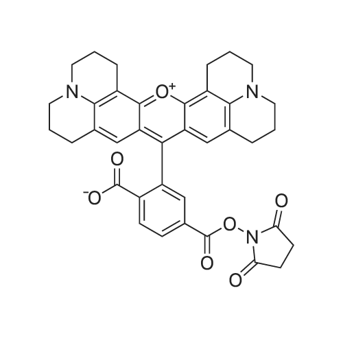 9-(2-Carboxy-5-(((2,5-dioxopyrrolidin-1-yl)oxy)carbonyl)phenyl)-2,3,6,7,12,13,16,17-octahydro-1H,5H,