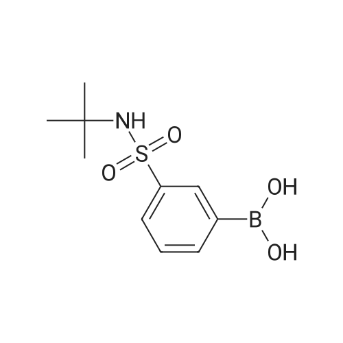 3-[N-(tert-Butyl)sulfamoyl]phenylboronic Acid