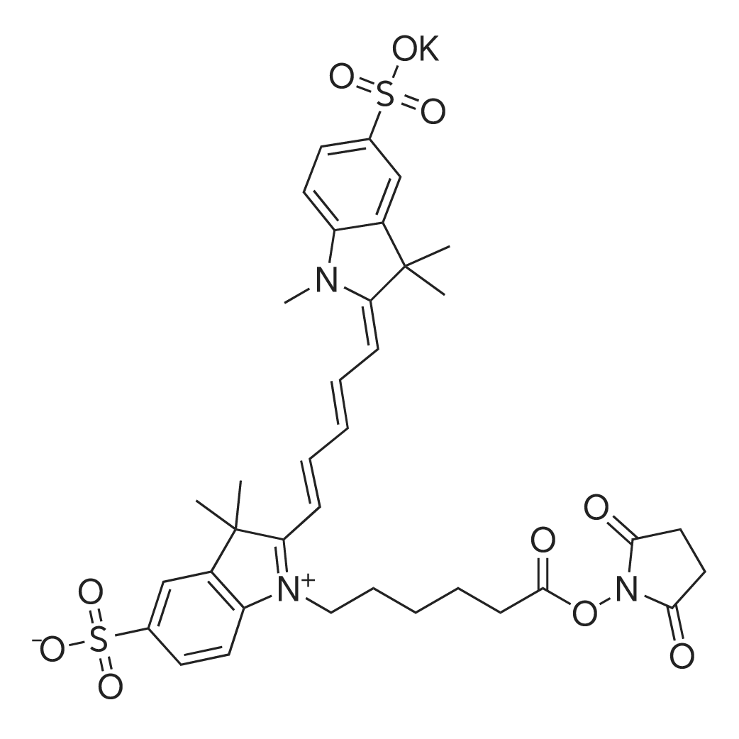 Potassium 1-(6-((2,5-dioxopyrrolidin-1-yl)oxy)-6-oxohexyl)-3,3-dimethyl-2-(5-(1,3,3-trimethyl-5-sulf