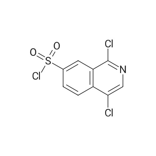 223671-80-5 1,4-Dichloroisoquinoline-7-sulfonyl chloride