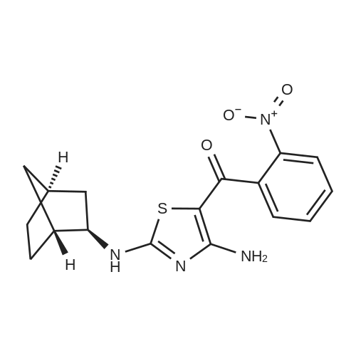 rel-(4-Amino-2-(((1R,2R,4S)-bicyclo[2.2.1]heptan-2-yl)amino)thiazol-5-yl)(2-nitrophenyl)methanone