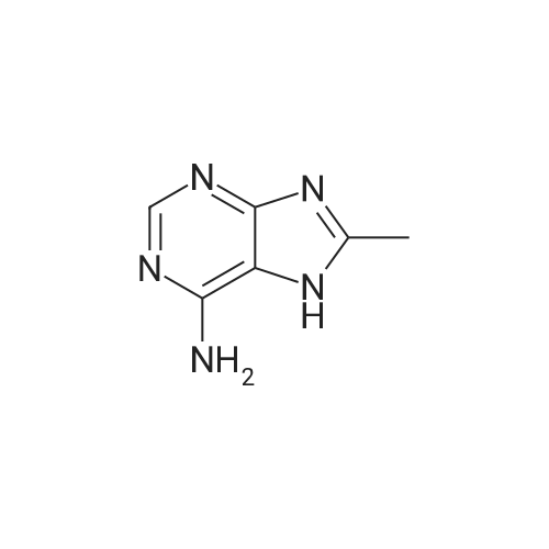 8-Methyl-7H-purin-6-amine