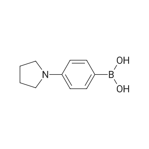 229009-41-0 (4-(Pyrrolidin-1-yl)phenyl)boronic acid