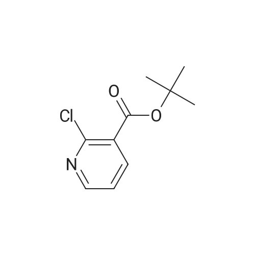 232951-83-6|tert-Butyl 2-chloronicotinate
