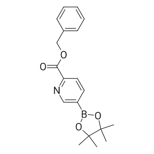 2377608-16-5 Benzyl 5-(4,4,5,5-tetramethyl-1,3,2-dioxaborolan-2-yl)picolinate