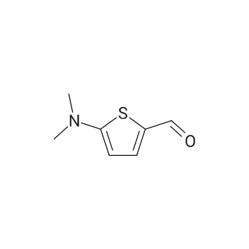 24372-46-1 5-(Dimethylamino)thiophene-2-carbaldehyde