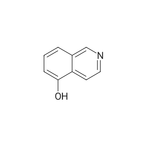 2439-04-5 5-Hydroxyisoquinoline