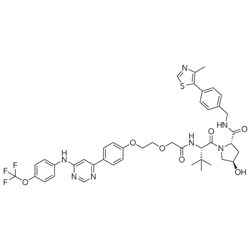 (2S,4R)-1-((S)-3,3-Dimethyl-2-(2-(2-(4-(6-((4-(trifluoromethoxy)phenyl)amino)pyrimidin-4-yl)phenoxy)