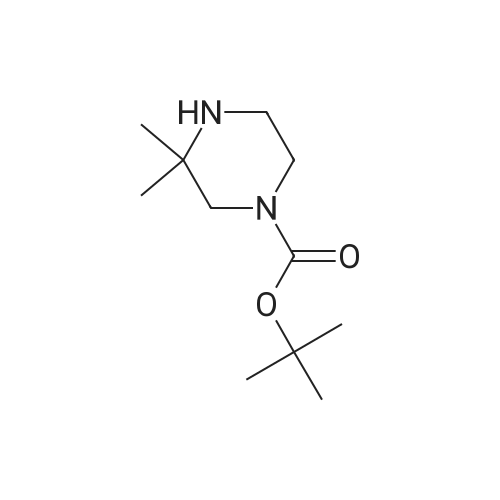 tert-Butyl 3,3-dimethylpiperazine-1-carboxylate