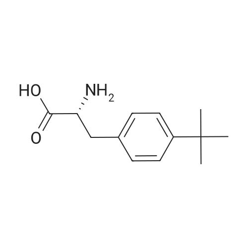 (R)-2-Amino-3-(4-(tert-butyl)phenyl)propanoic acid