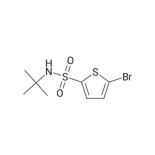 N-tert-Butyl 5-bromo-2-thiophenesulfonamide