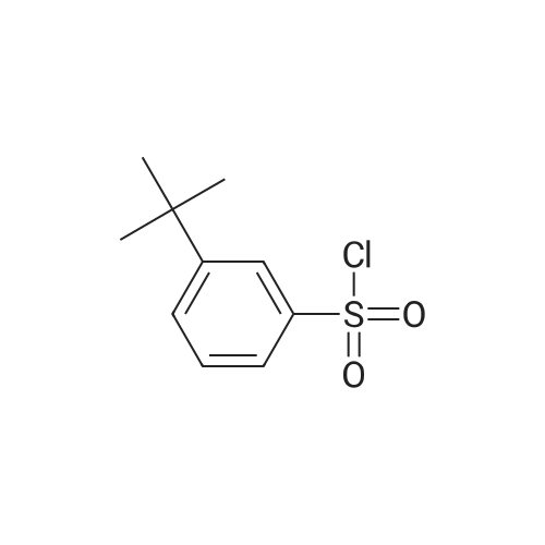 3-(tert-Butyl)benzene-1-sulfonyl chloride