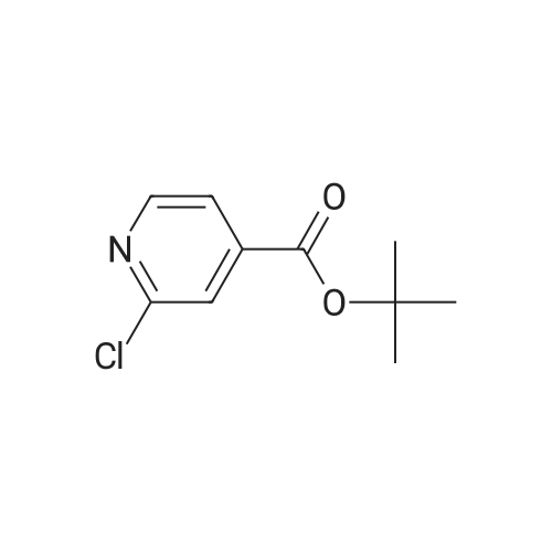 tert-Butyl 2-chloroisonicotinate