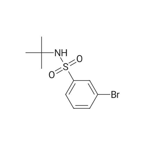 3-Bromo-N-(tert-butyl)benzenesulfonamide