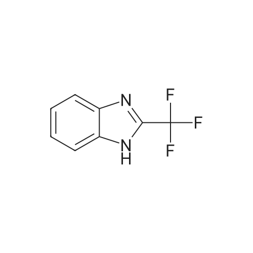 312-73-2 2-(Trifluoromethyl)-1H-benzo[d]imidazole
