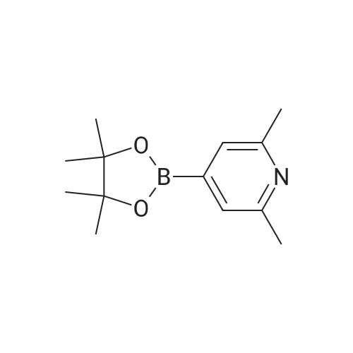 2,6-Dimethyl-4-(4,4,5,5-tetramethyl-1,3,2-dioxaborolan-2-yl)pyridine