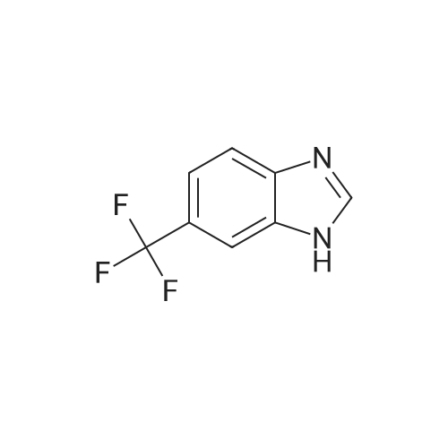 326-55-6 6-(Trifluoromethyl)-1H-benzo[d]imidazole