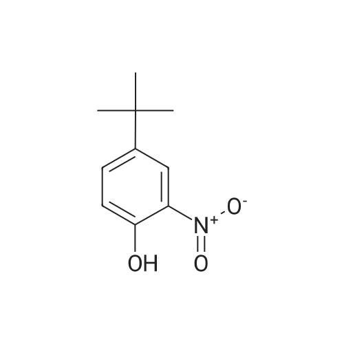 4-(tert-Butyl)-2-nitrophenol