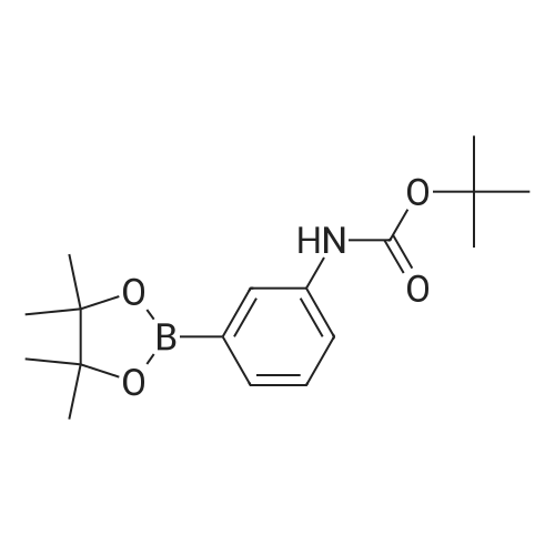 tert-Butyl (3-(4,4,5,5-tetramethyl-1,3,2-dioxaborolan-2-yl)phenyl)carbamate