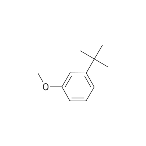 1-(tert-Butyl)-3-methoxybenzene