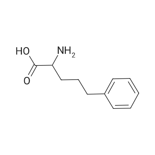 2-Amino-5-phenylpentanoic acid