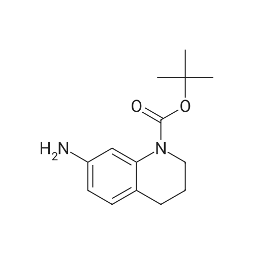 tert-Butyl 7-amino-3,4-dihydroquinoline-1(2H)-carboxylate