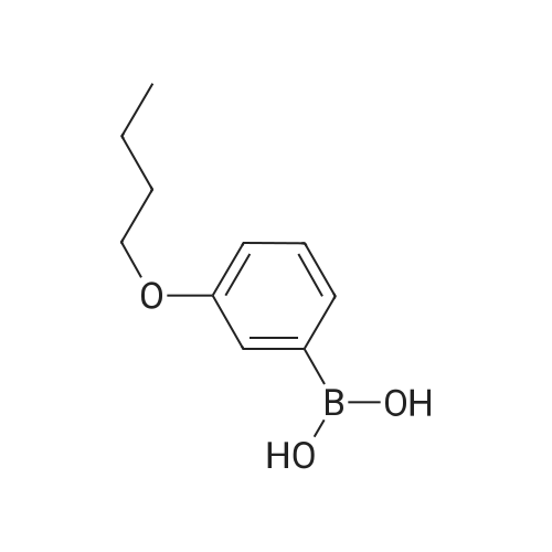 3-Butoxyphenylboronic acid