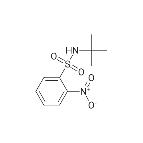 N-(tert-Butyl)-2-nitrobenzenesulfonamide