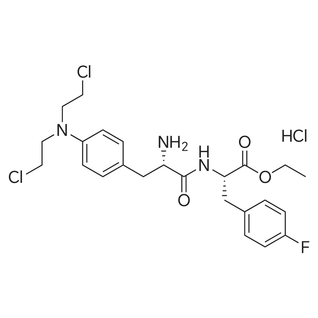 Ethyl (S)-2-((S)-2-amino-3-(4-(bis(2-chloroethyl)amino)phenyl)propanamido)-3-(4-fluorophenyl)propano