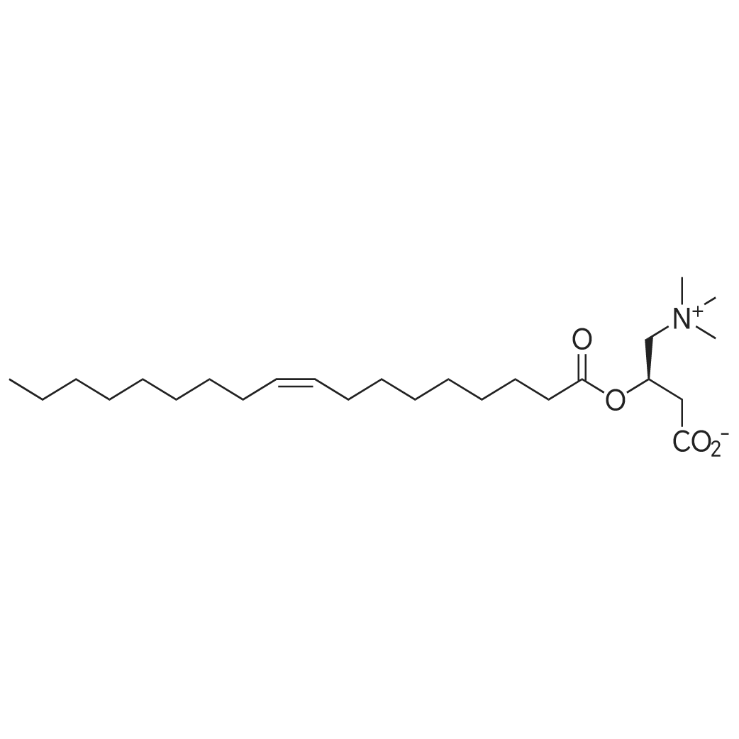 (R)-3-(Oleoyloxy)-4-(trimethylammonio)butanoate