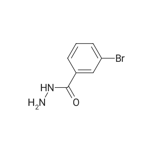 39115-96-3 3-Bromobenzhydrazide