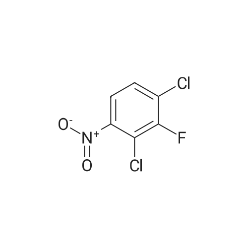 2,4-Dichloro-3-fluoronitrobenzene