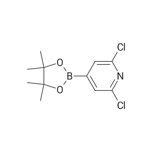 2,6-Dichloro-4-(4,4,5,5-tetramethyl-1,3,2-dioxaborolan-2-yl)pyridine