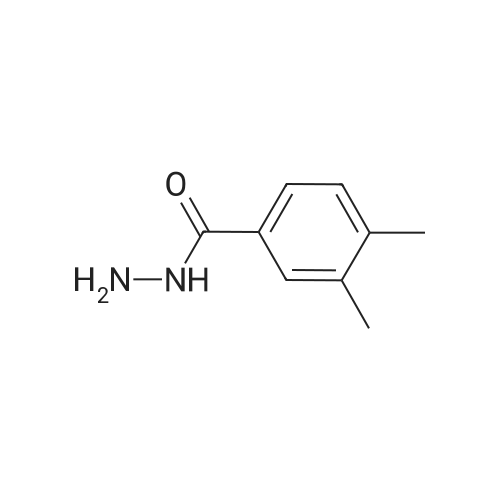 42596-61-2 3,4-Dimethylbenzohydrazide
