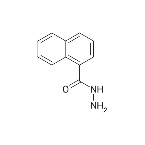 1-Naphthohydrazide