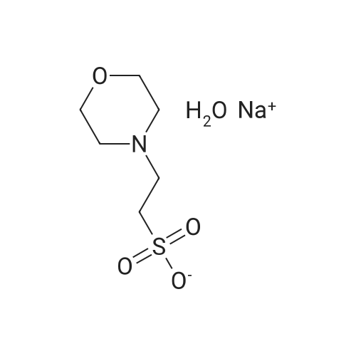 Sodium 2-Morpholinoethanesulfonate Monohydrate