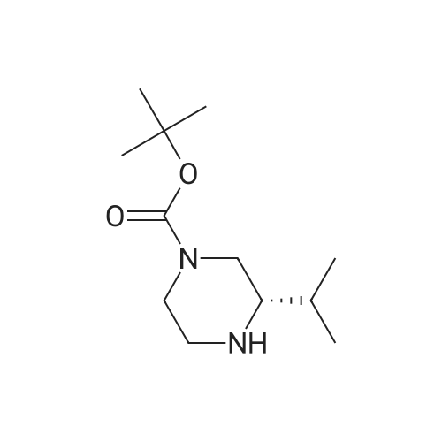 475272-54-9 (S)-1-Boc-3-Isopropylpiperazine