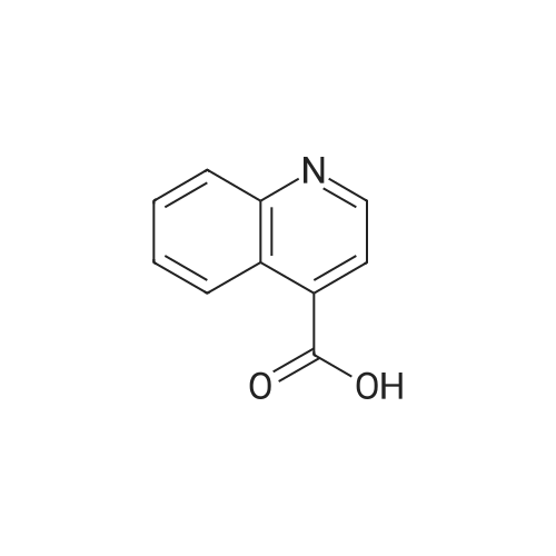 Quinoline-4-carboxylic acid