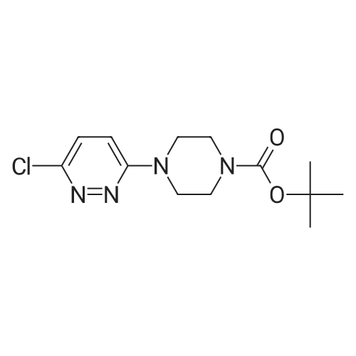 492431-11-5 1-Boc-4-(6-Chloropyridazin-3-yl)piperazine