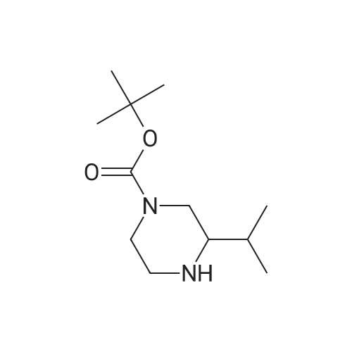 1-Boc-3-Isopropylpiperazine