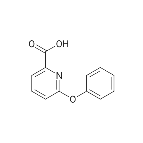 6-Phenoxypicolinic acid