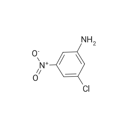 3-Chloro-5-nitroaniline