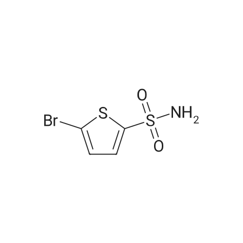 53595-65-6|5-Bromothiophene-2-sulfonamide
