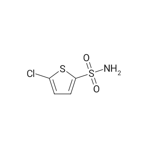 53595-66-7 5-Chlorothiophene-2-sulfonamide