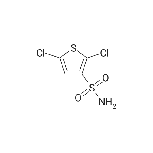 53595-68-9 2,5-Dichlorothiophene-3-sulfonamide
