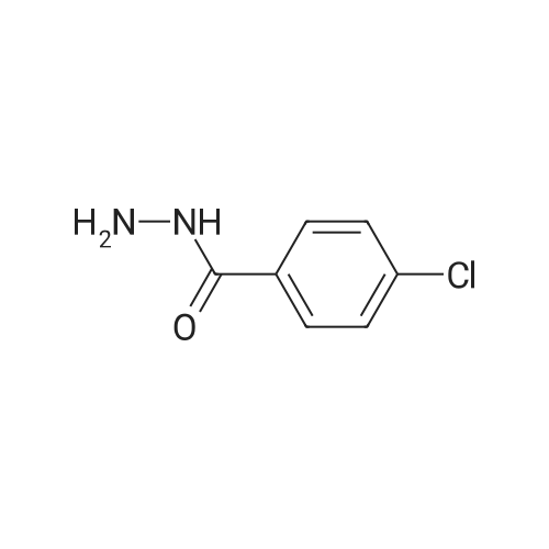 536-40-3 4-Chlorobenzhydrazide