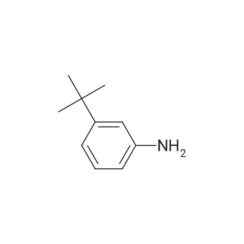 3-(tert-Butyl)aniline