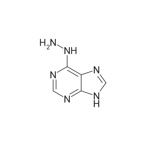 6-Hydrazinyl-9H-purine
